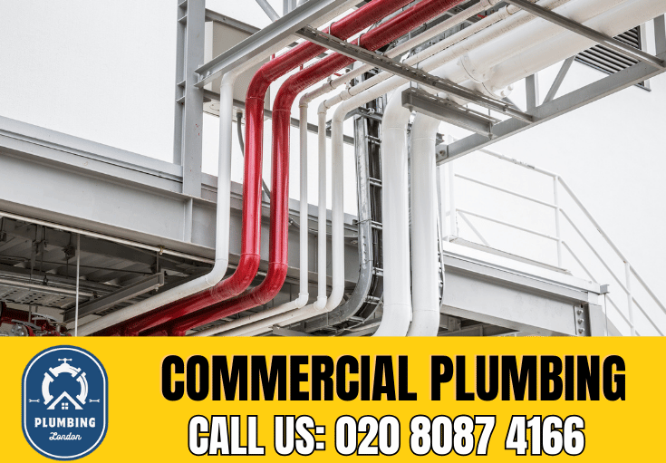 commercial plumbing Battersea