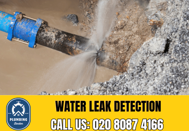 leak detection Battersea