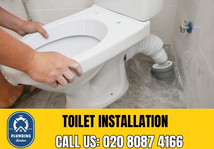 toilet fitters Battersea